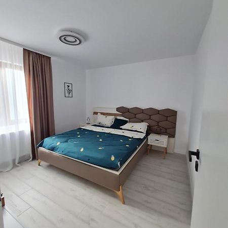 טימישוארה Toronto Deluxe Residence מראה חיצוני תמונה