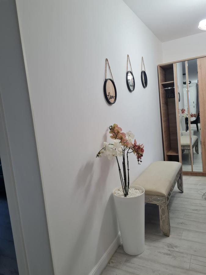 טימישוארה Toronto Deluxe Residence מראה חיצוני תמונה